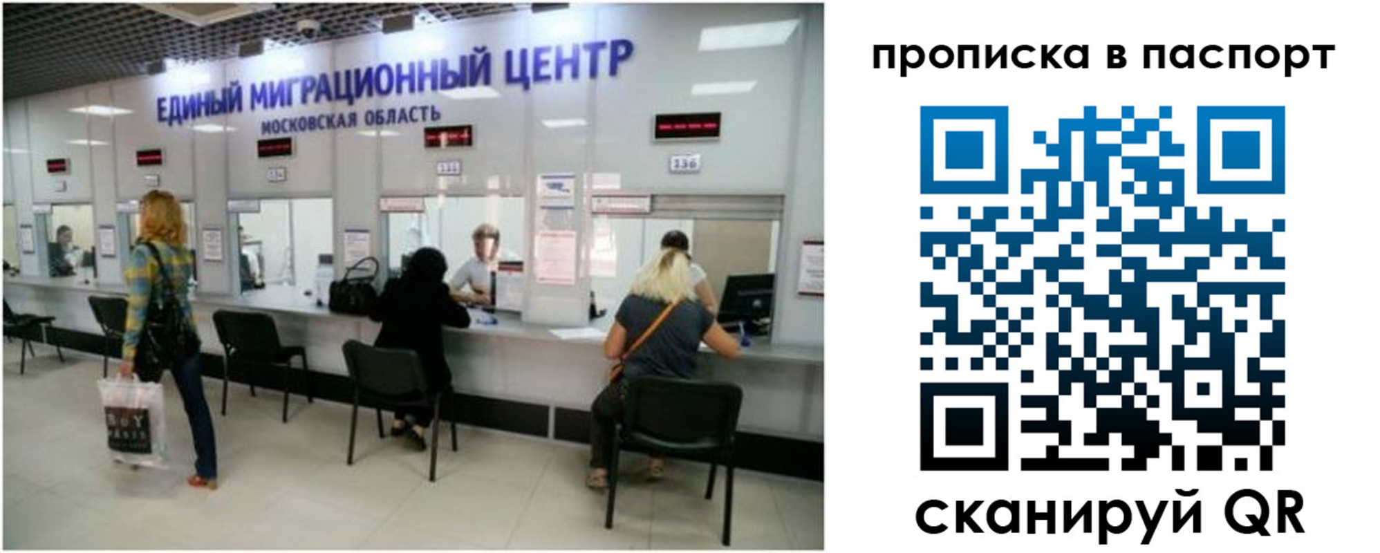 прописка в Зверево